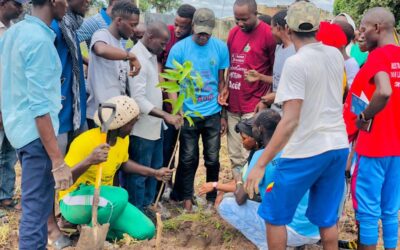 Eco-Bootcamp Régional d’Urgence Écologique: Caldhis accompagne le processus