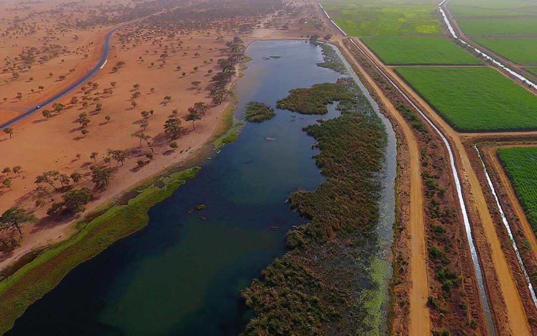Godzilla El Niño : quels impacts pour le Sénégal face au changement climatique ?